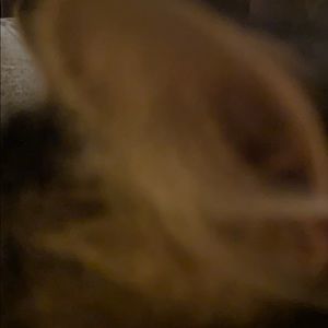 Meet your Posher, Ashleigh